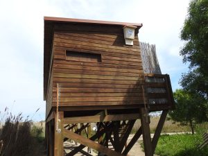 caixa 2 ratapatxets 2017 observatori swarovski riet vell cor de maria valls foto Seo BirdLife