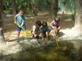 P4.VISITEN “LES GRANOTES”