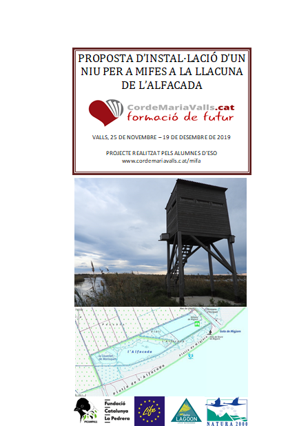 CLICA PER DESCARREGAR EL DOCUMENT DE TREBALL