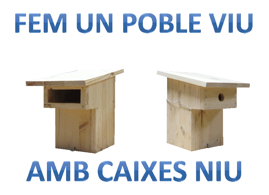 Fem un poble viu amb caixes niu