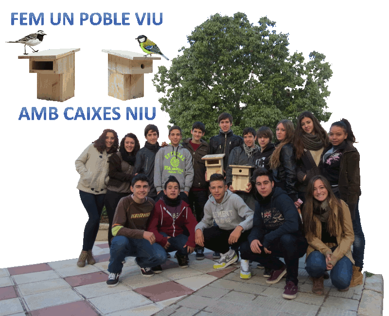 Pablo Baraza Torrijos, Sergi Belencoso Galera, Aleix Cabedo Justcia, Marc Caixal Bordas, Jlia Figuerola Pmies, Crstian Gil Prez, Sergio Izquierdo Garca, Cristina Len Frias, Ariadna Lpez Garca, Aaron Marn Pia, Jlia Papiol Bardi, Pau Sans Ordoo, Marc Torres Zaragoza, Mariona Vadr Montcus, Morelia Altagracia Ventura Marte, Jordi Vidal Chica. Pere Compte Jov . Collegi Cor de Maria Valls